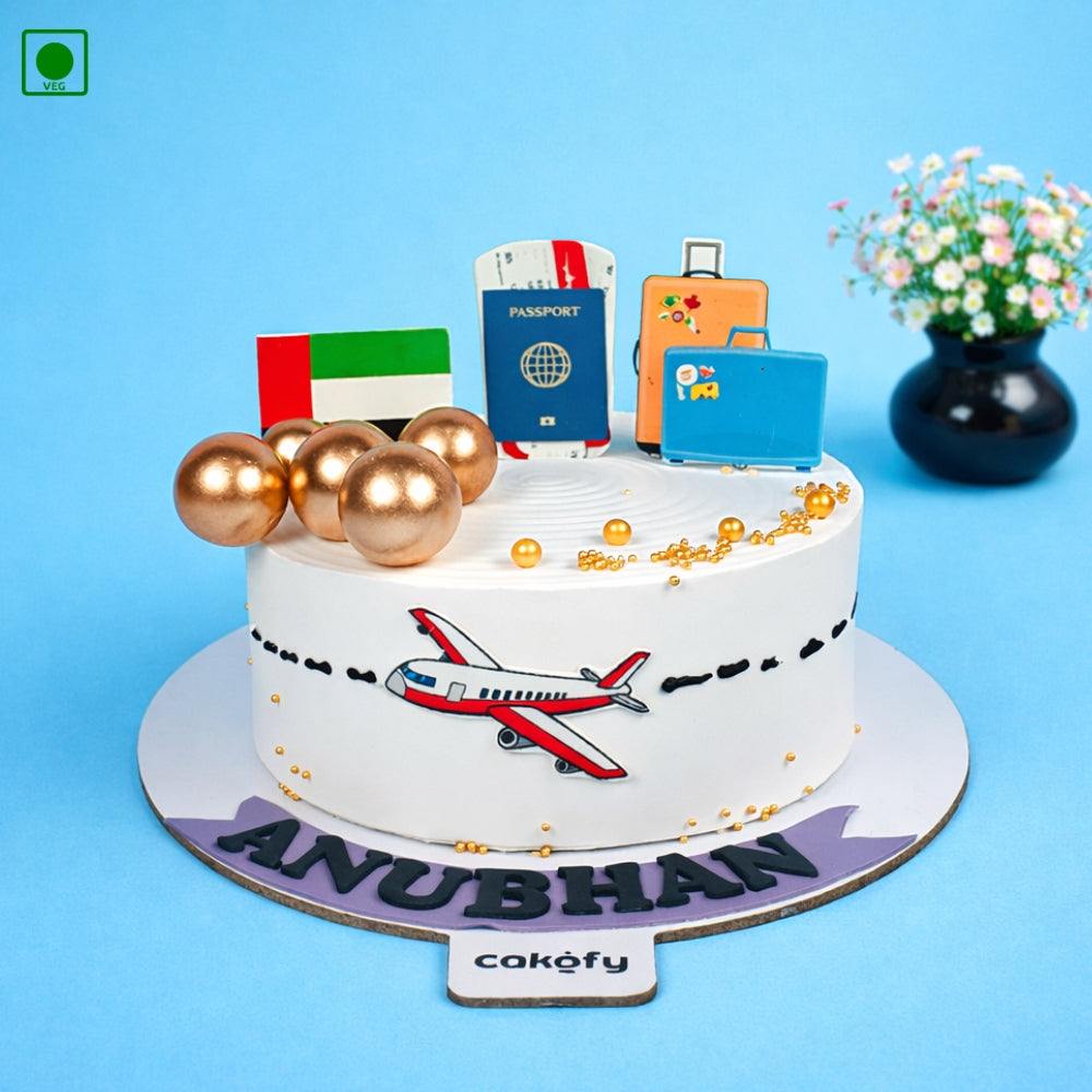 Airplane & Suitcase Travel Cake – Gurgaon & Delhi NCR | Cakofy