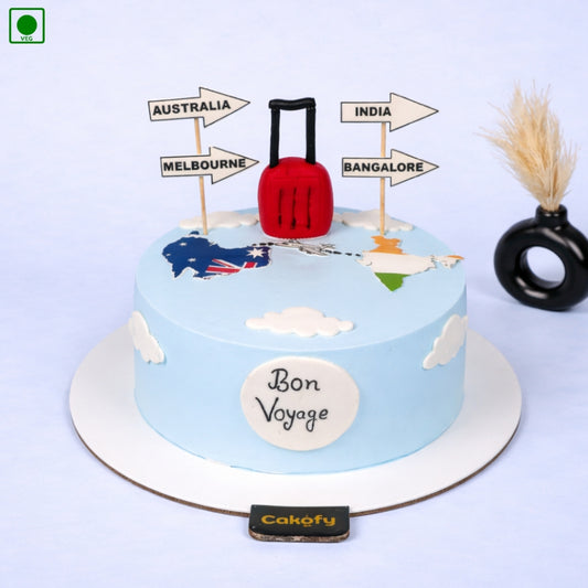 Australia to India Travel Cake – Gurgaon & Delhi NCR | Cakofy