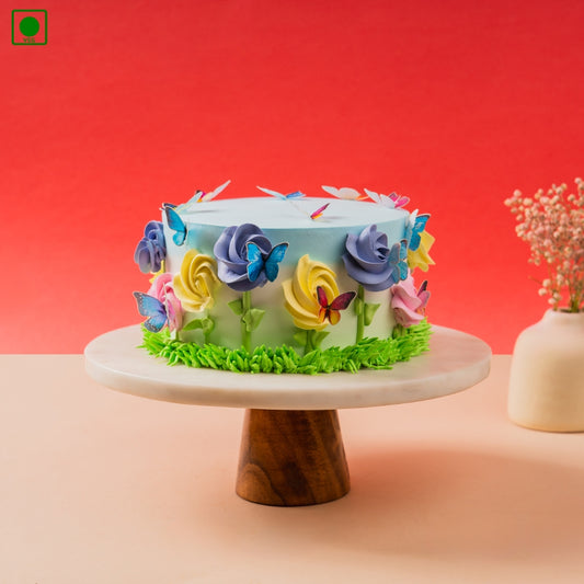 Colorful Butterfly Cake - Gurgaon, Delhi & Noida