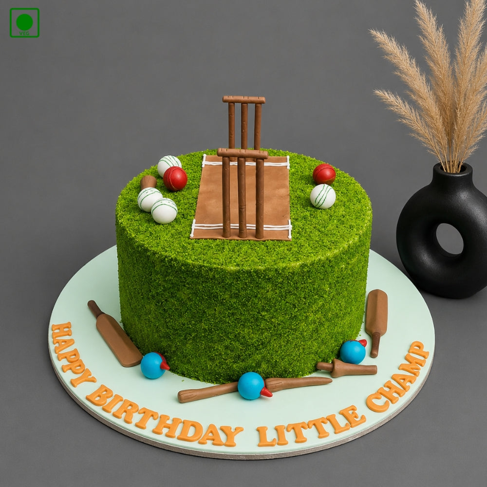 Cricket Stadium Fantasy Cake - Gurgaon, Delhi & Noida