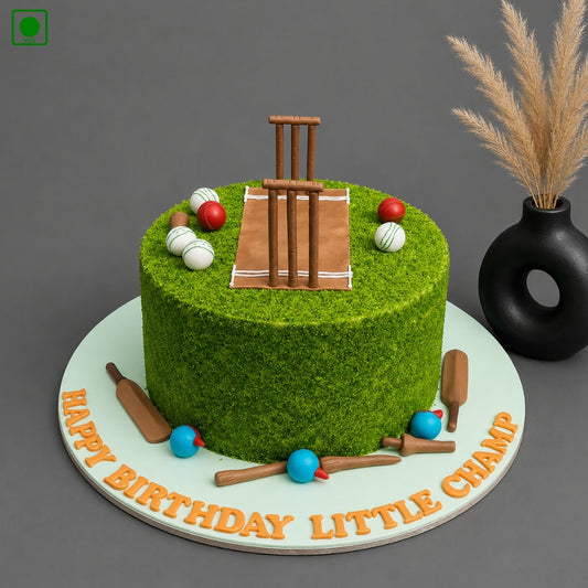 Cricket Stadium Fantasy Cake - Gurgaon, Delhi & Noida