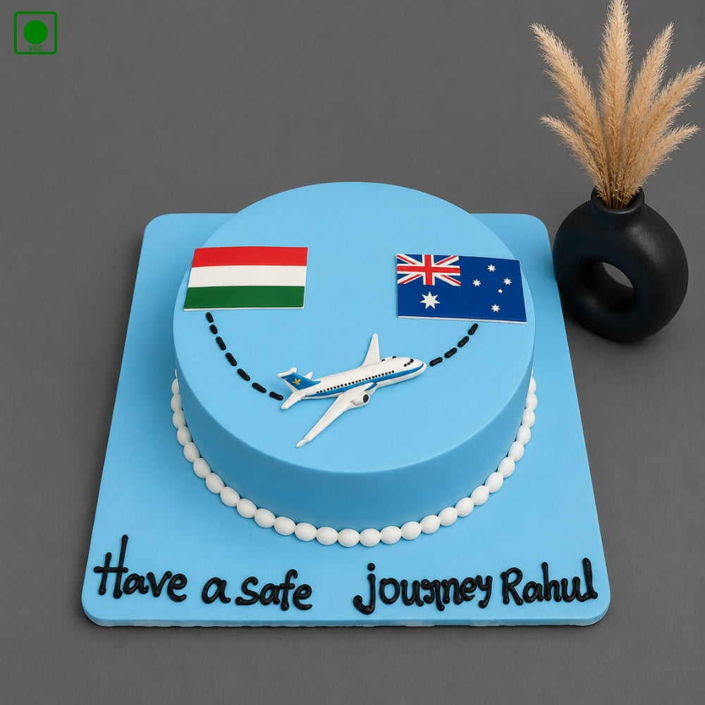 India Australia Travel Cake - Gurgaon, Delhi & Noida