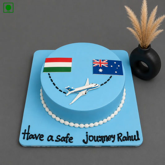 India Australia Travel Cake - Gurgaon, Delhi & Noida