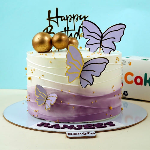 Purple Ombre Butterfly Cake